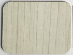 SY29